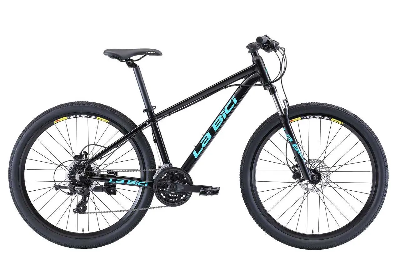LABICI MTB 650
